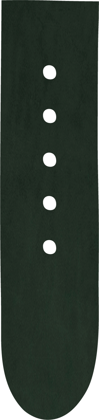 dark jungle green