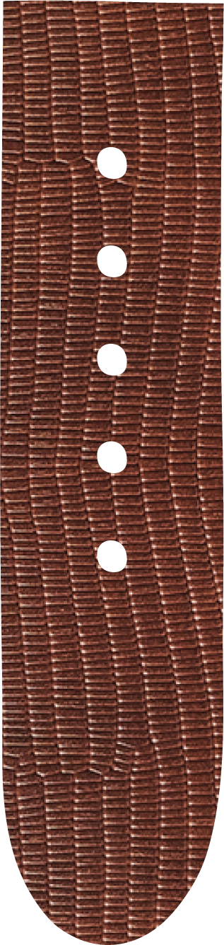 chocolate 'iguana'